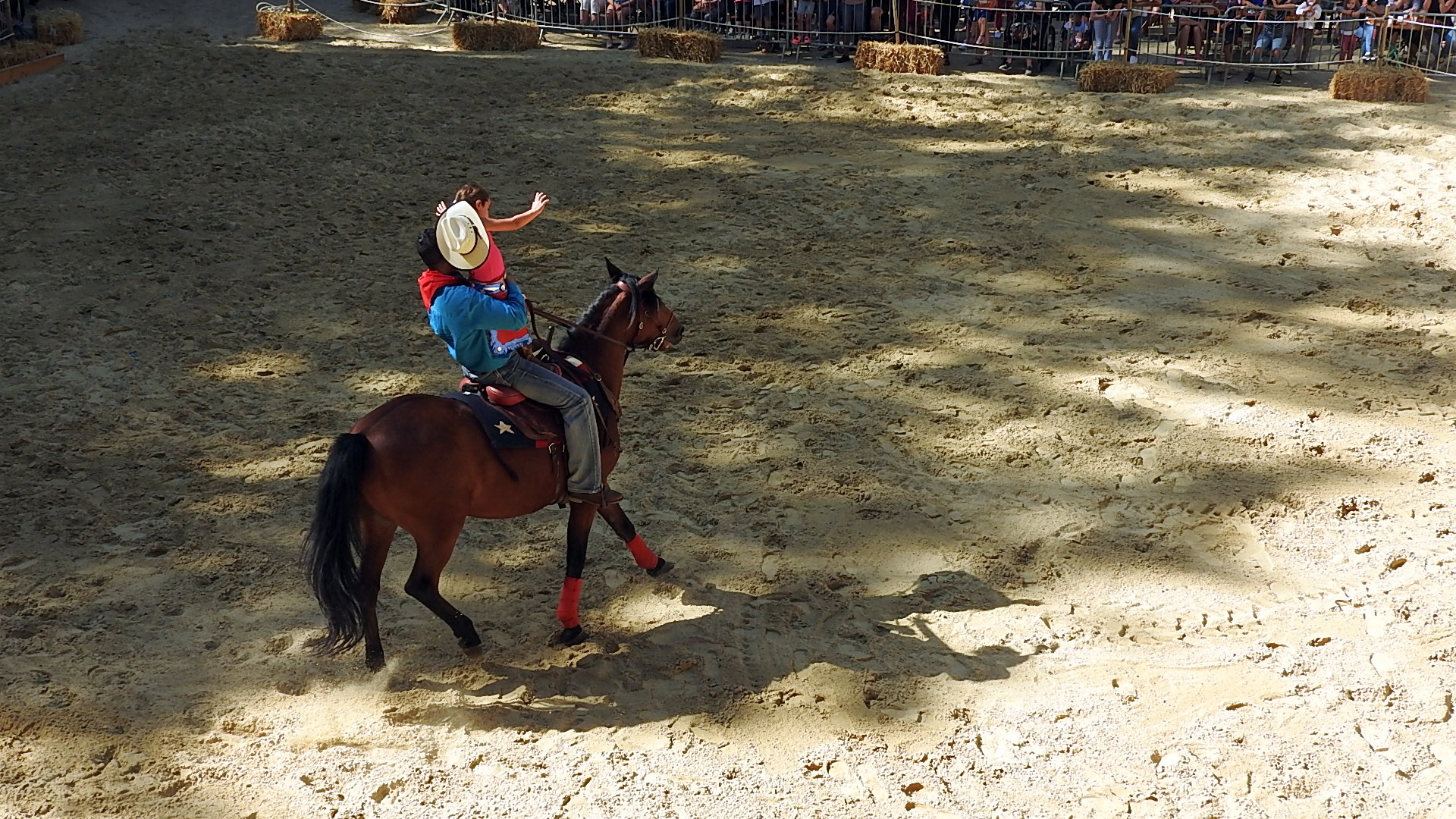 Journée du cheval 09092018 Fort de Condé (38)