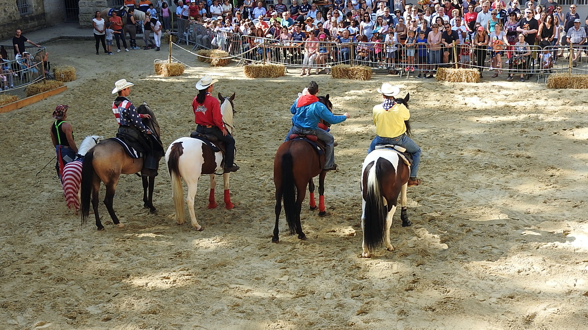 Journée du cheval 09092018 Fort de Condé (41)