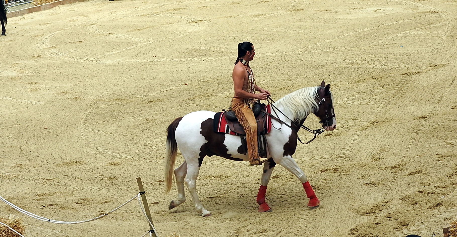 Journée du cheval 09092018 Fort de Condé (52)