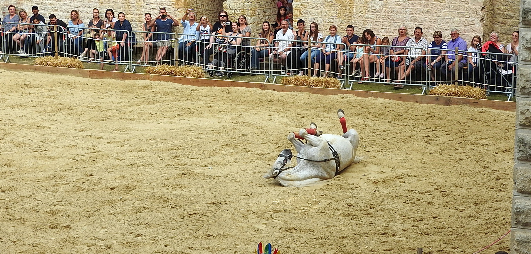 Journée du cheval 09092018 Fort de Condé (69)