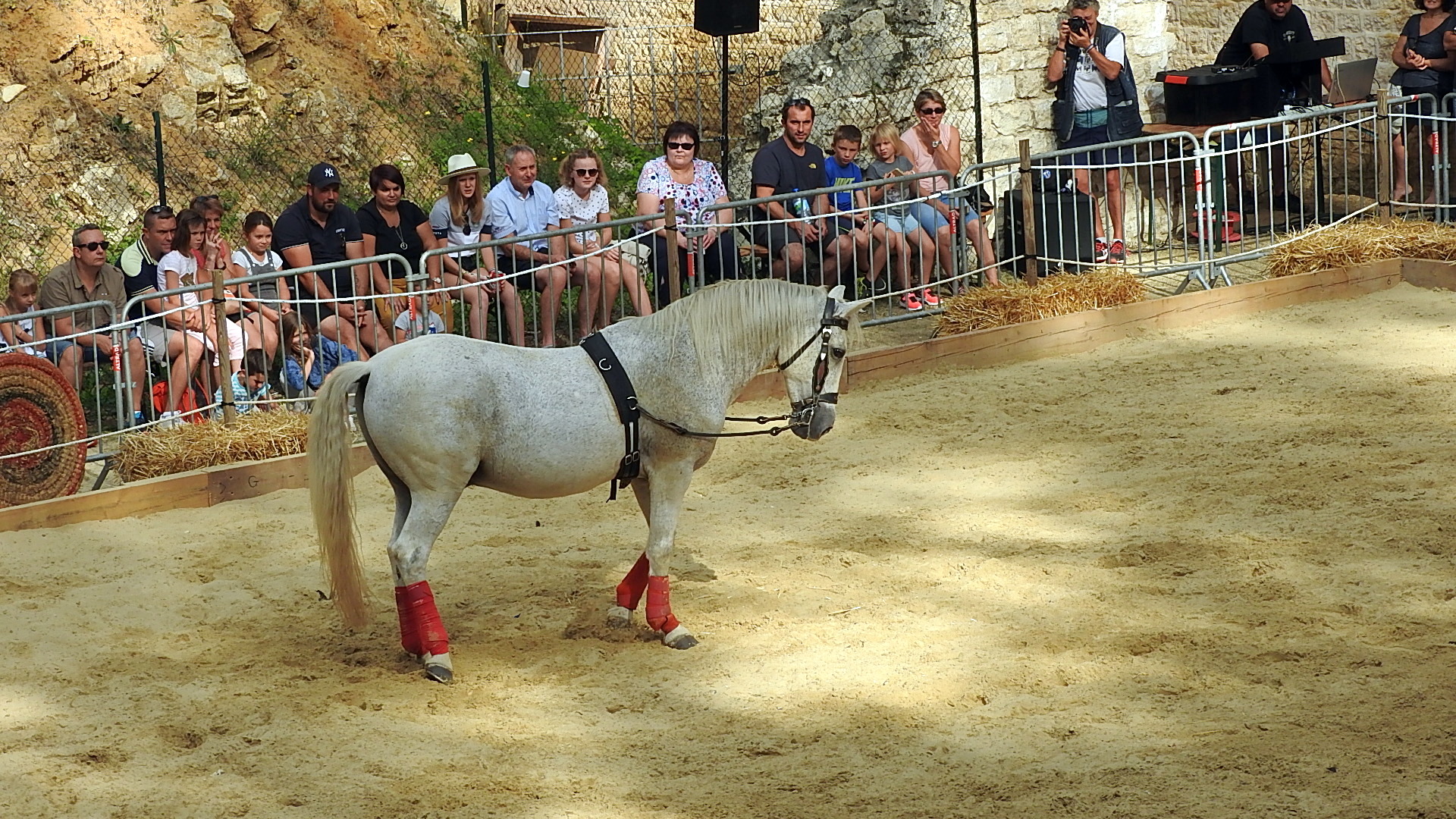 Journée du cheval 09092018 Fort de Condé (73)
