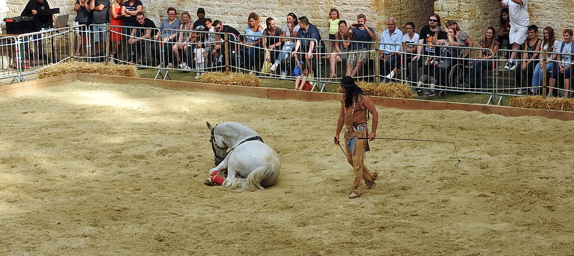 Journée du cheval 09092018 Fort de Condé (75)