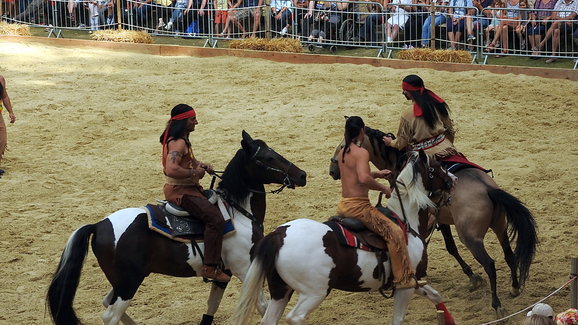 Journée du cheval 09092018 Fort de Condé (77)