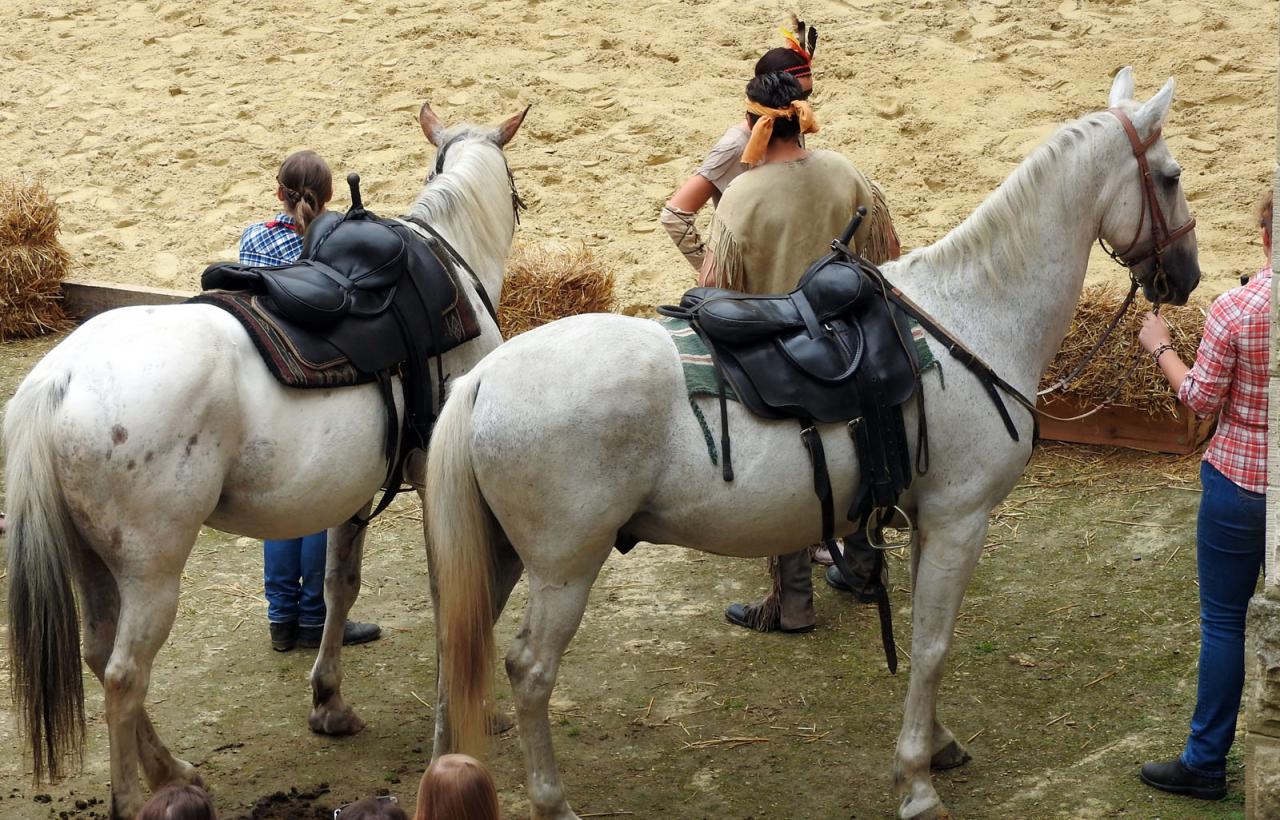 Journée du cheval Fort de Condé 11092016 (16)