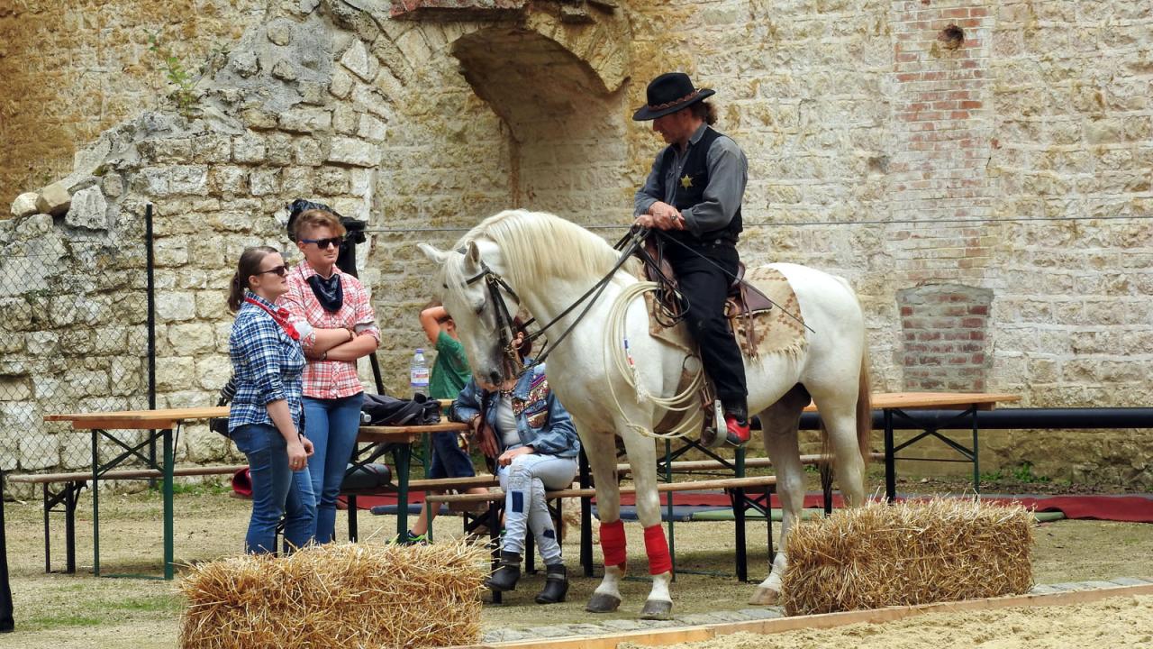 Journée du cheval Fort de Condé 11092016 (2)