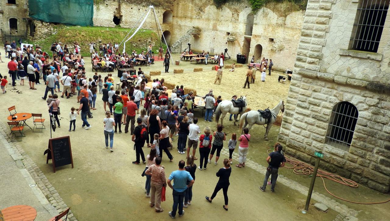 Journée du cheval Fort de Condé 11092016 (23)