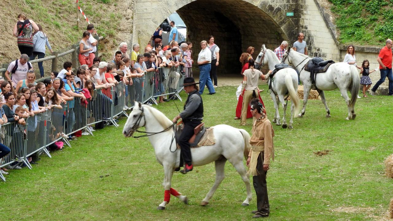 Journée du cheval Fort de Condé 11092016 (25)