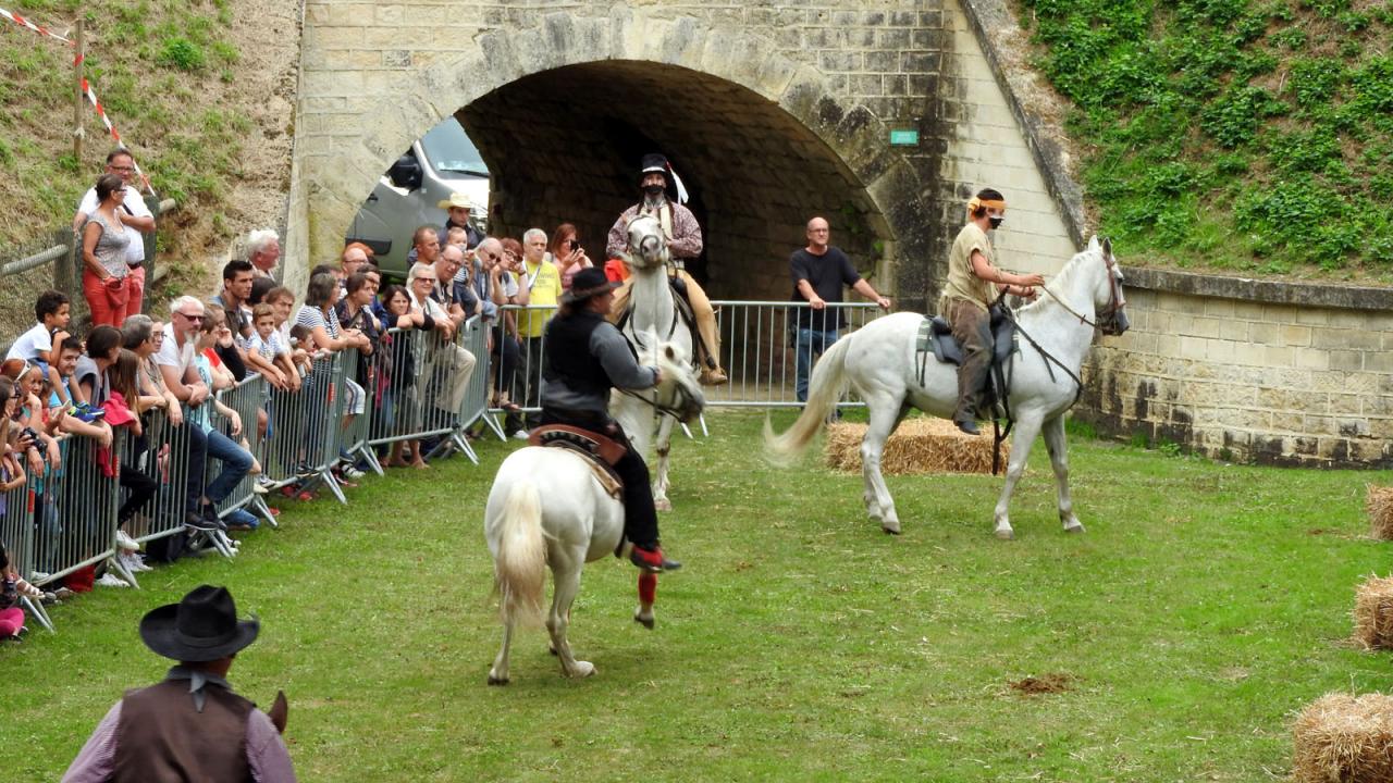Journée du cheval Fort de Condé 11092016 (28)