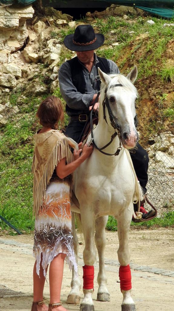 Journée du cheval Fort de Condé 11092016 (4)
