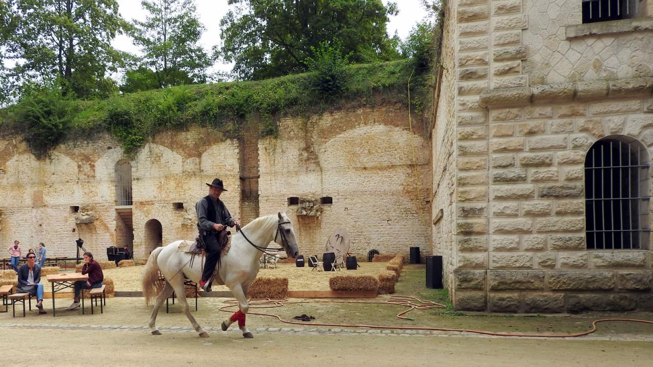 Journée du cheval Fort de Condé 11092016 (5)