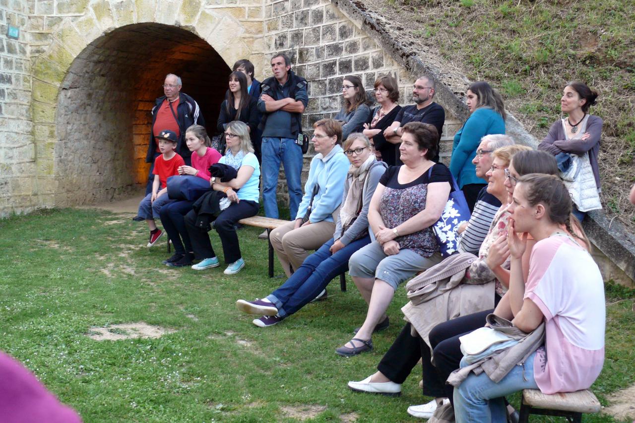 L'idiot du village 06062014 (4)