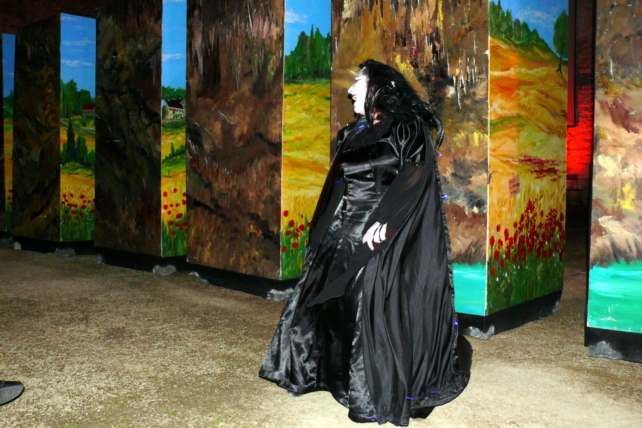 L'idiot du village 06062014 (47)