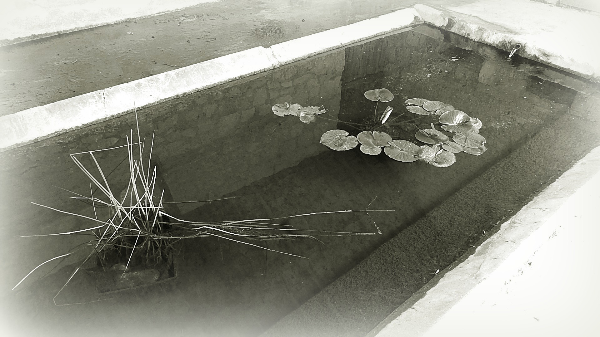 lavoir Ste Marguerite (4)