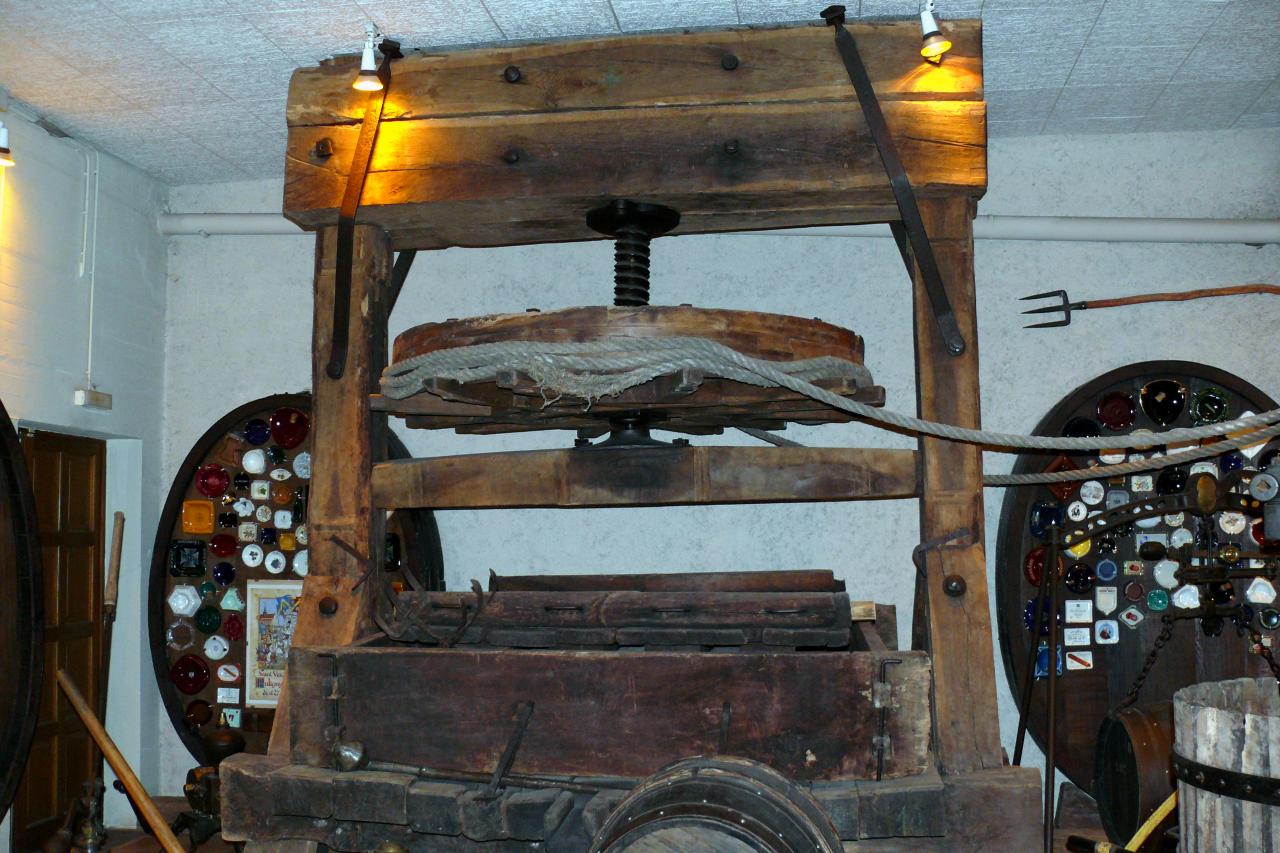 Le mesnil sur Oger 09 mai 2015  (10)