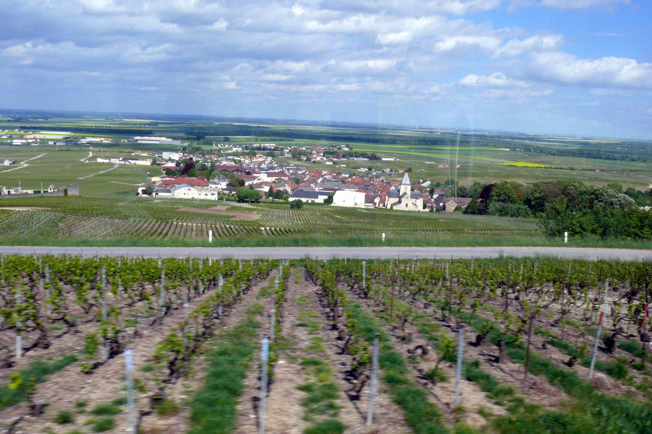 Le mesnil sur Oger 09 mai 2015  (112)