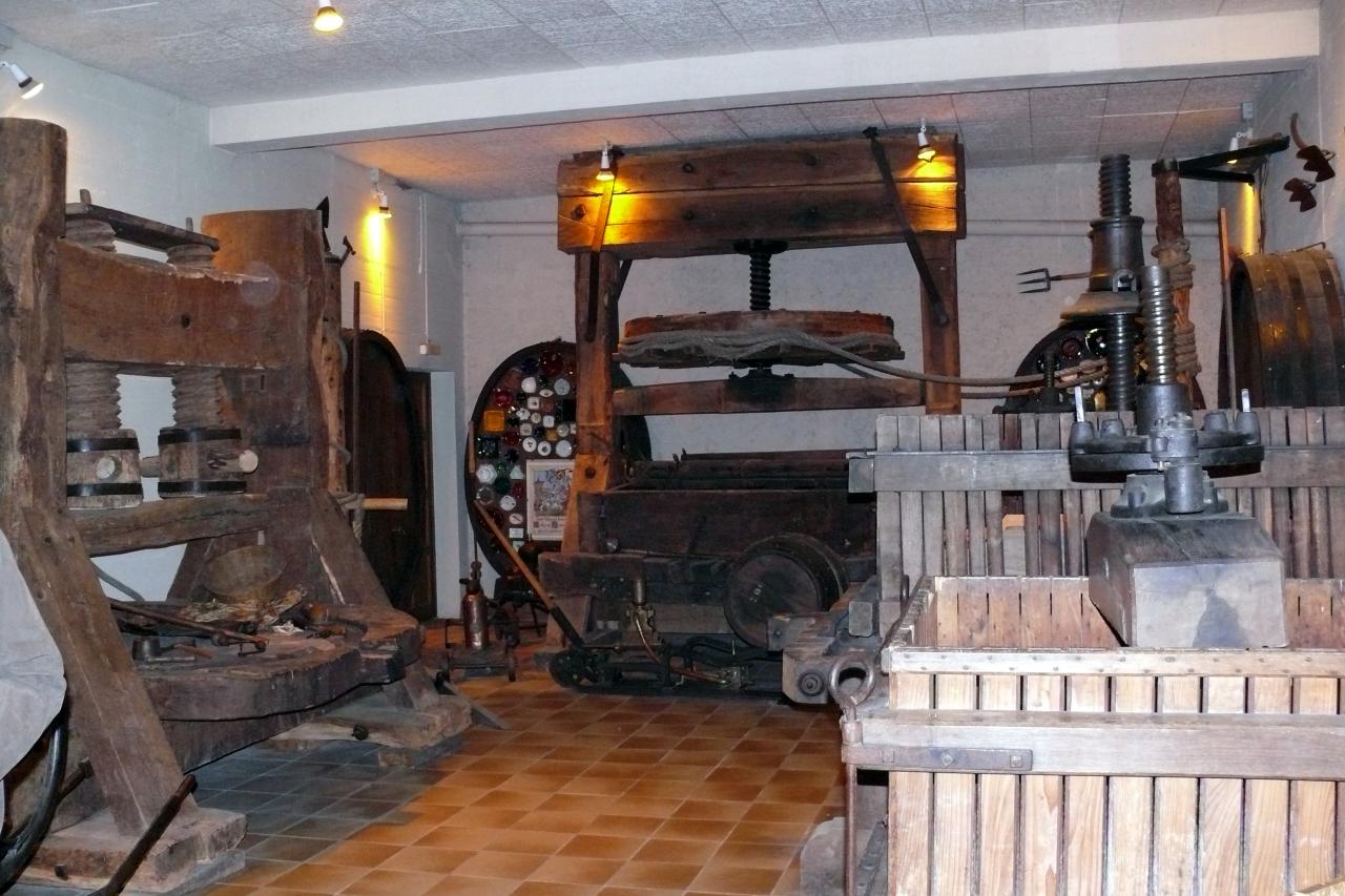 Le mesnil sur Oger 09 mai 2015  (12)