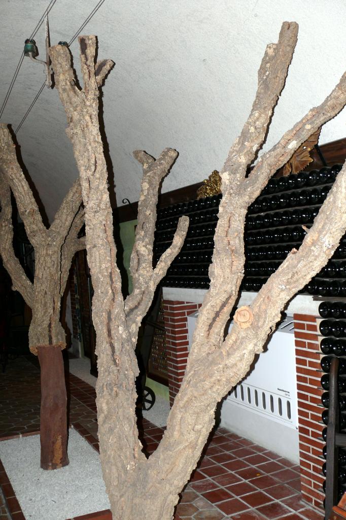 Le mesnil sur Oger 09 mai 2015  (49)