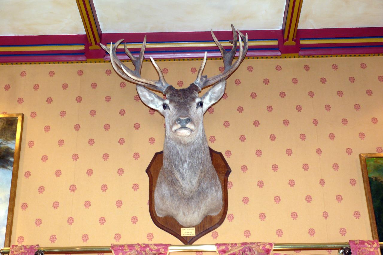 Le mesnil sur Oger 09 mai 2015  (98)