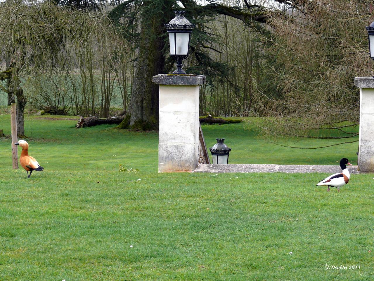 Château de Villers aux Bois