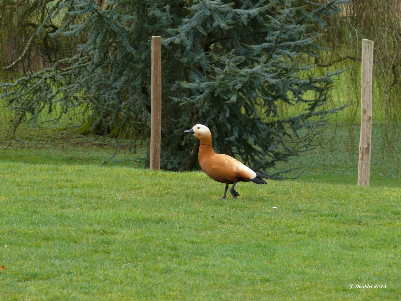 Château de Villers aux Bois
