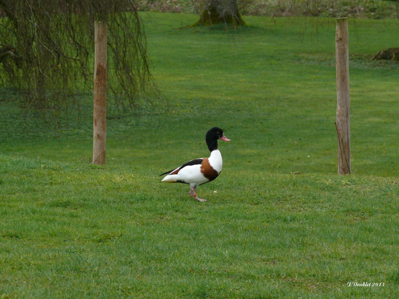 Château de Villers aux Bois