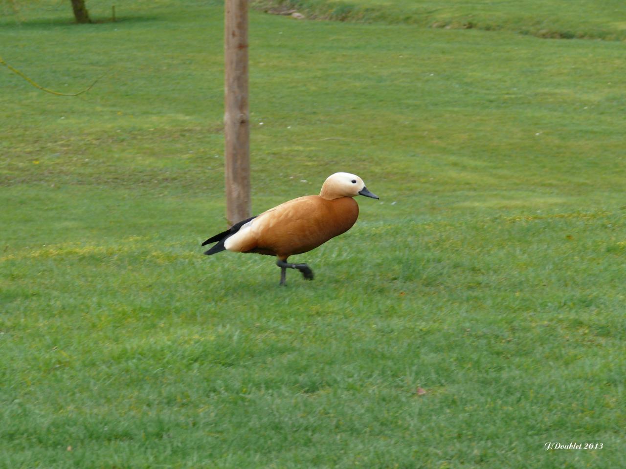 Château de Villers aux Bois