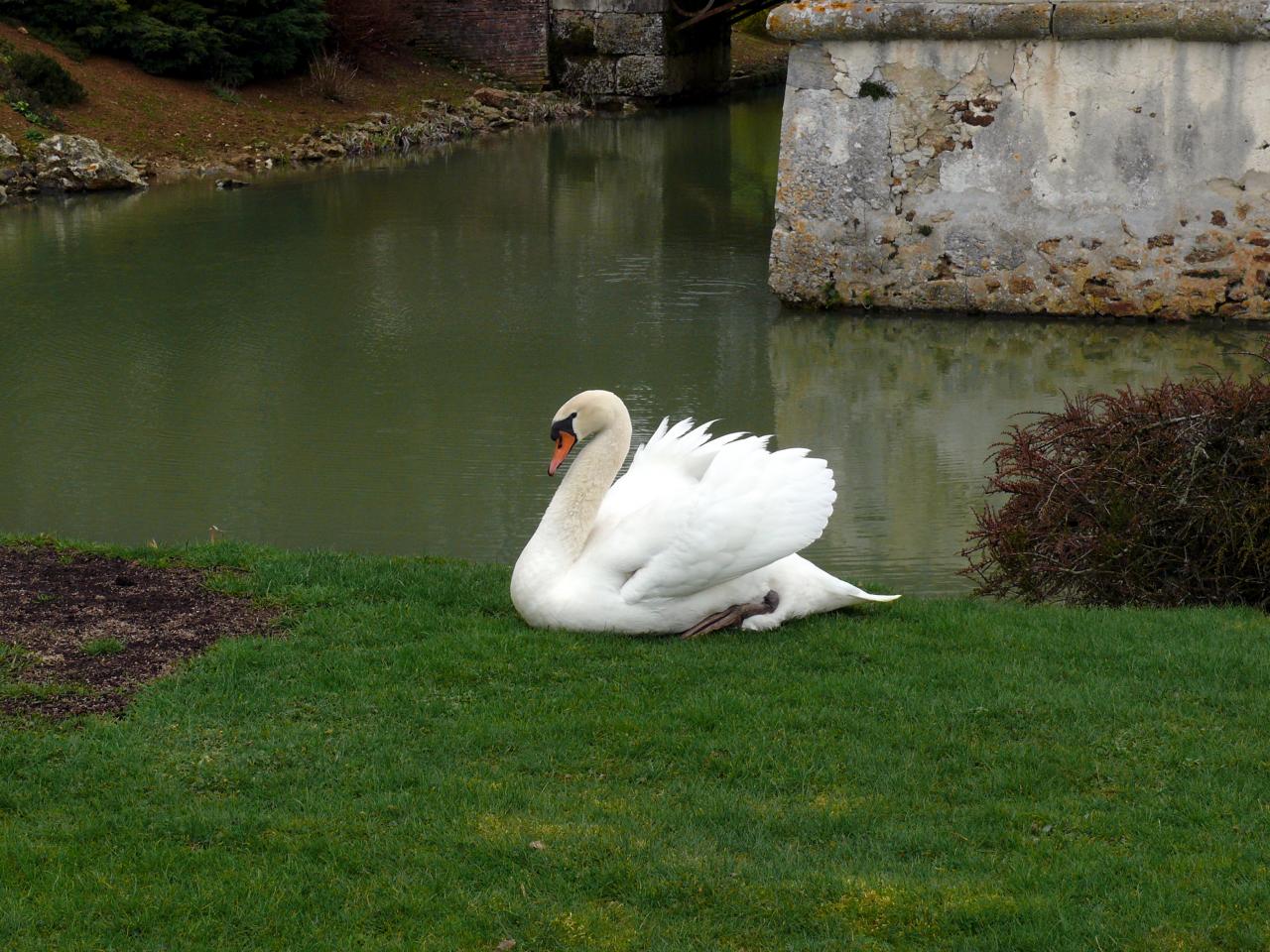 Château de Villers aux Bois