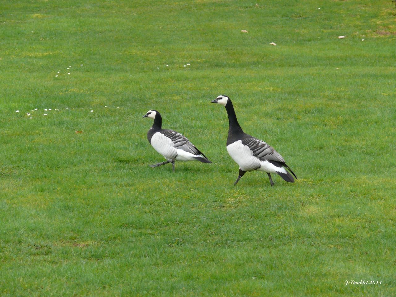 Château de Villers aux Bois