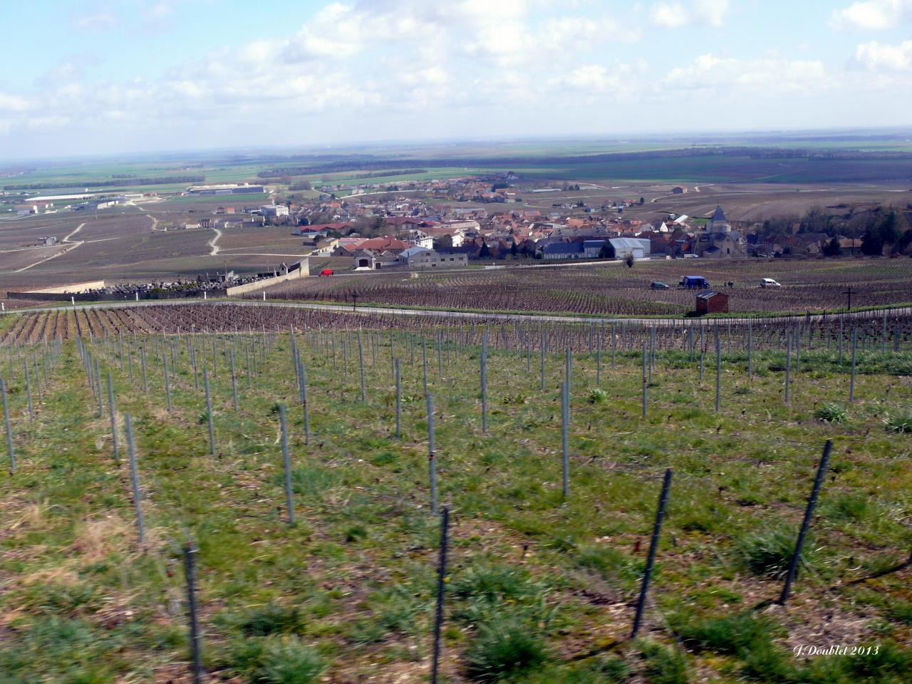 Le Mesnil sur Oger 13.04 (80)