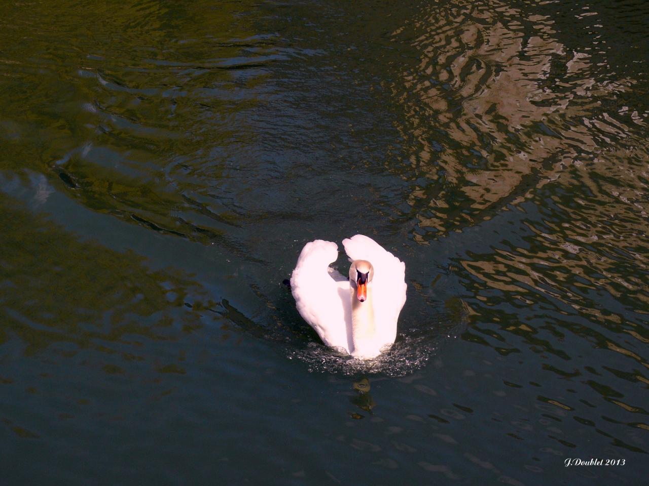 Château de Villers aux Bois