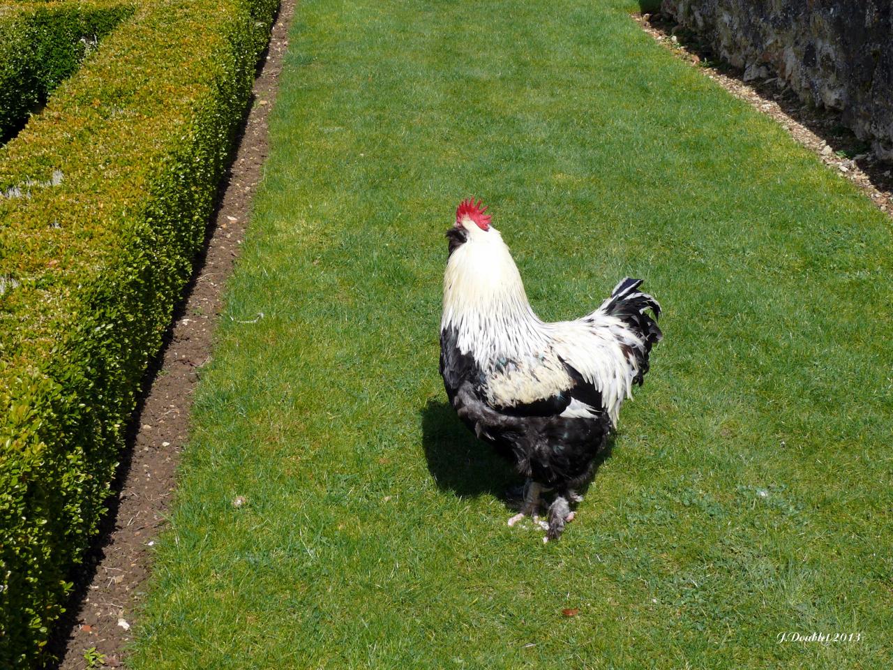 Château de Villers aux Bois