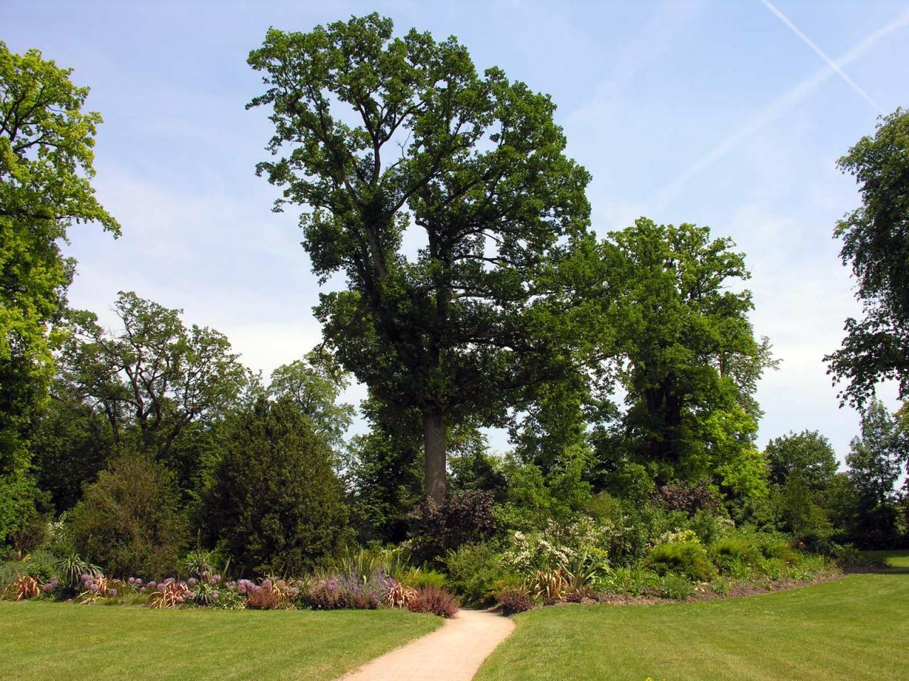 Le parc du Château (2)