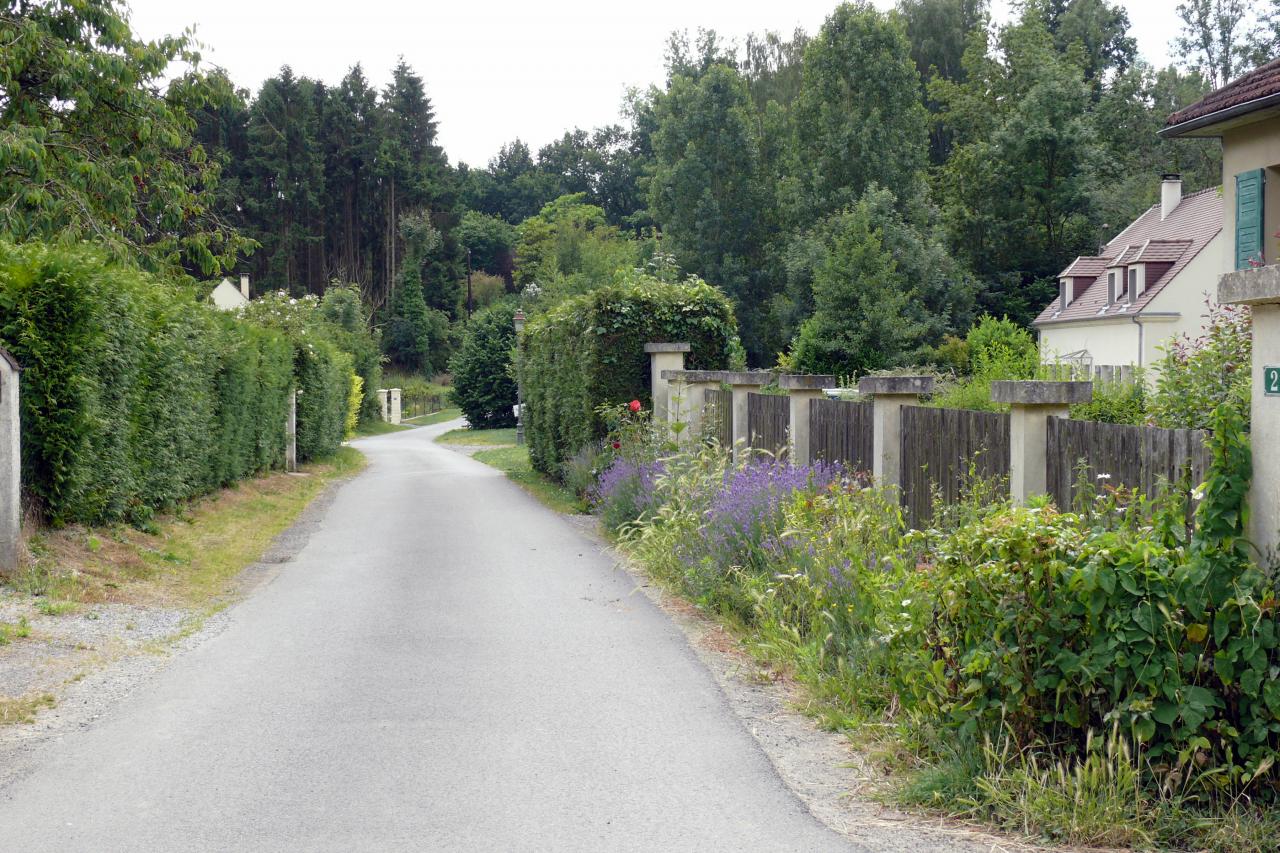 Le village et ses rues ornées de fleurs  (13)