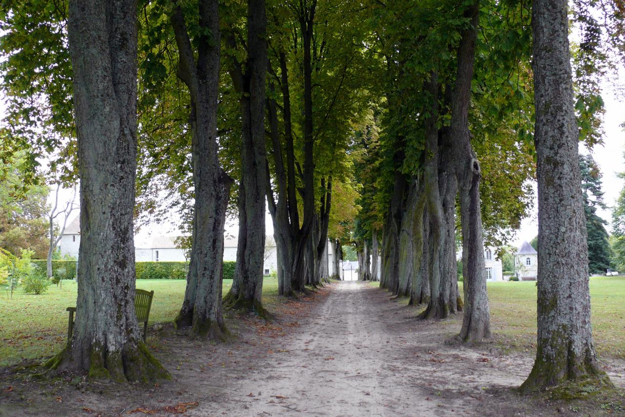 Les jardins de la Muette et le Château (19)