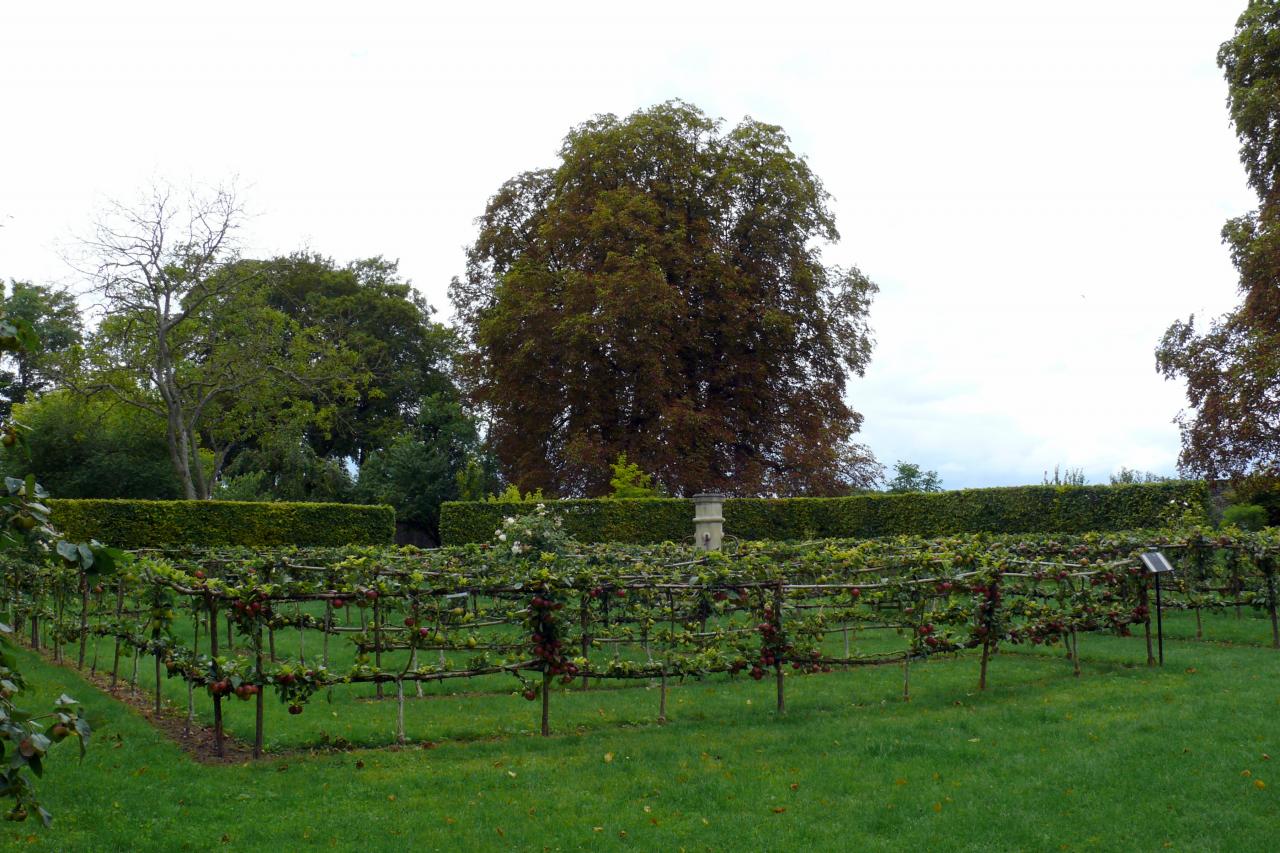 Les jardins de la Muette et le Château (3)