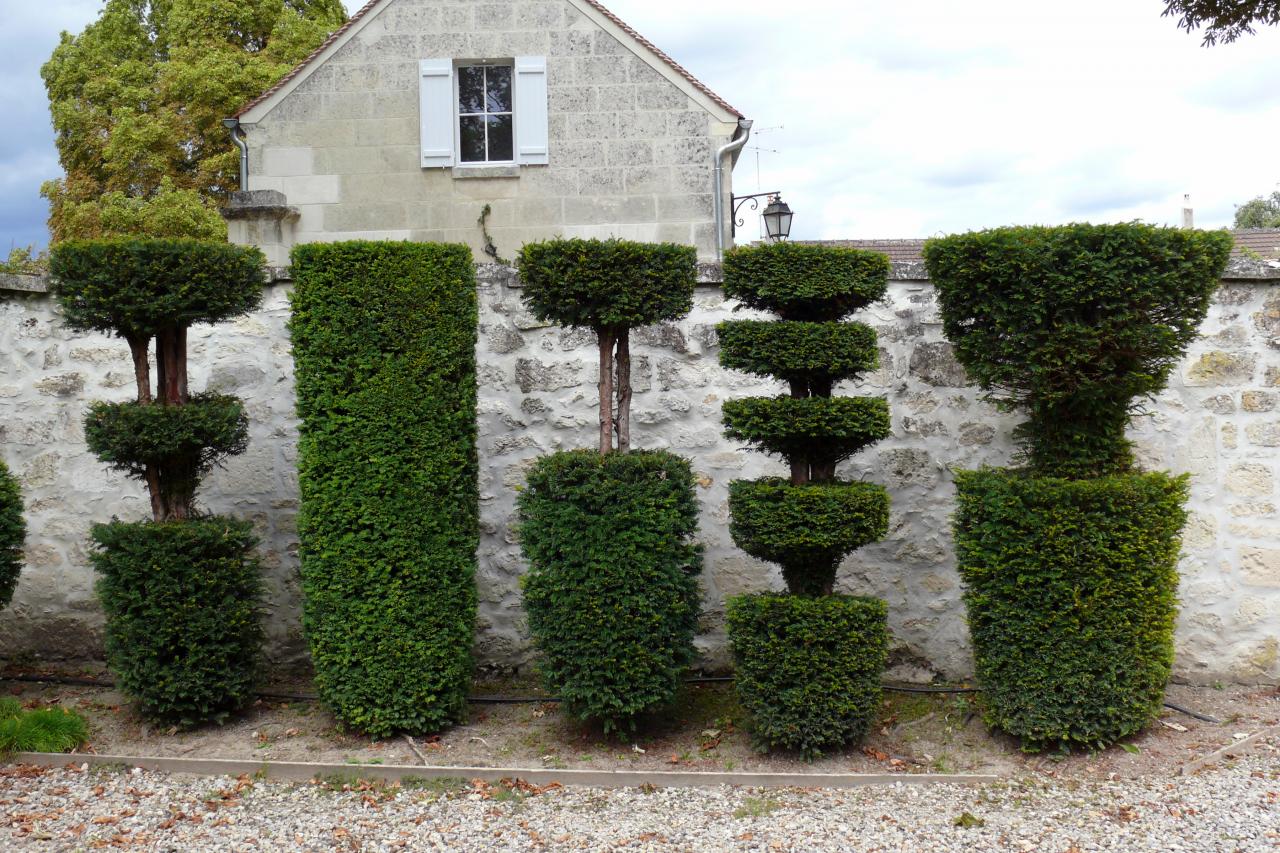 Les jardins de la Muette et le Château (44)