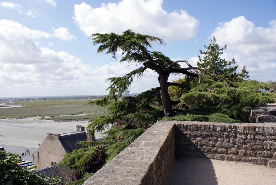 Mont Saint Michel 2009 (20)