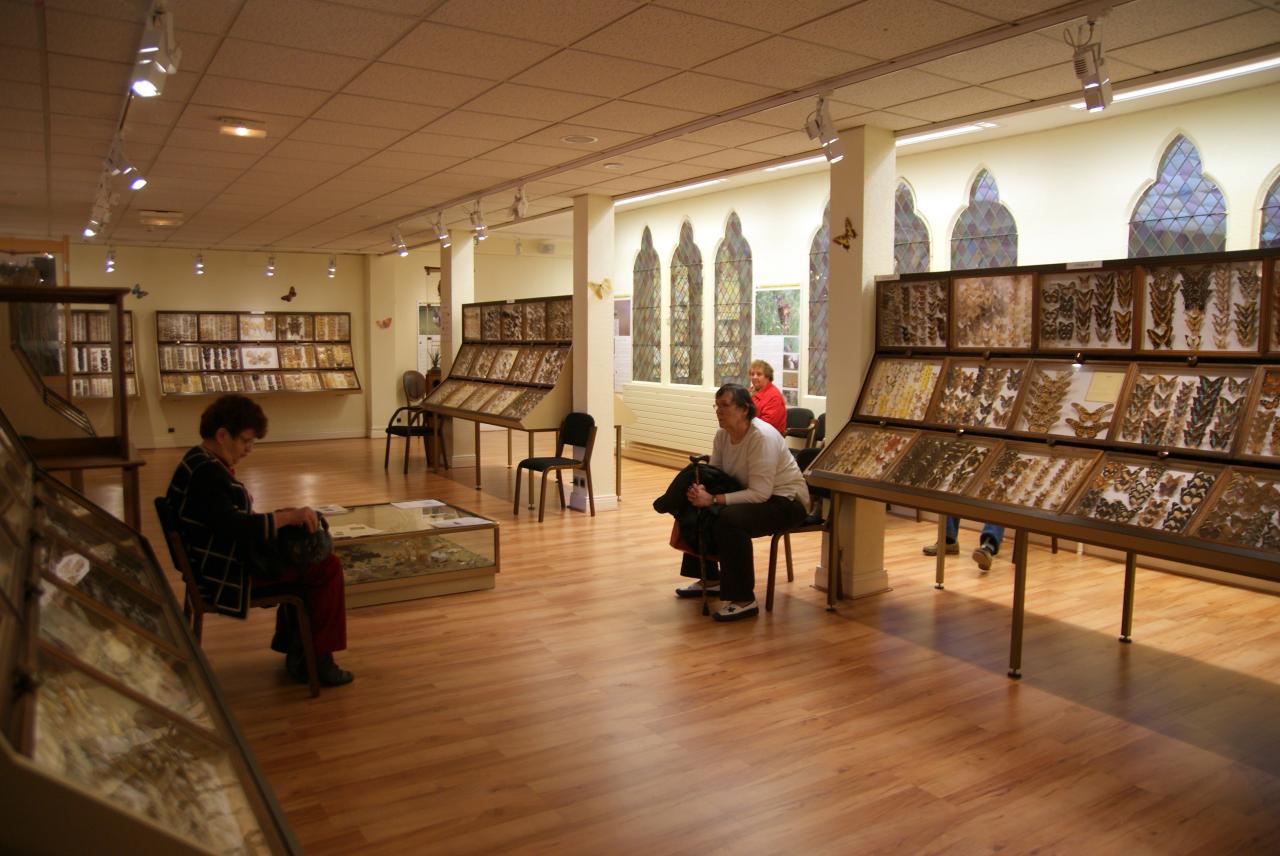 Musée du papillons 7 nov 2013 (22)