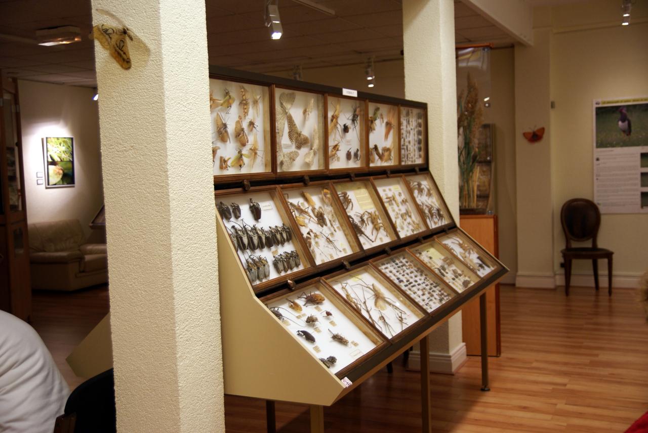 Musée du papillons 7 nov 2013 (25)