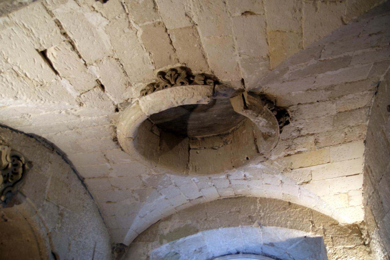 Musée du papillons 7 nov 2013 (27)