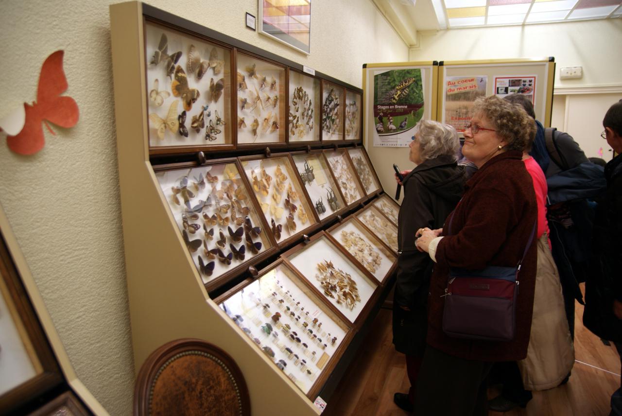 Musée du papillons 7 nov 2013 (52)
