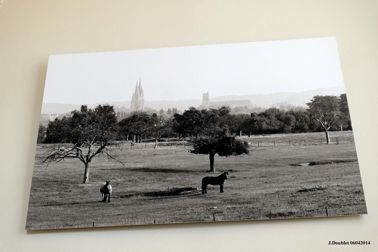 Musée et Abbaye Saint-Léger