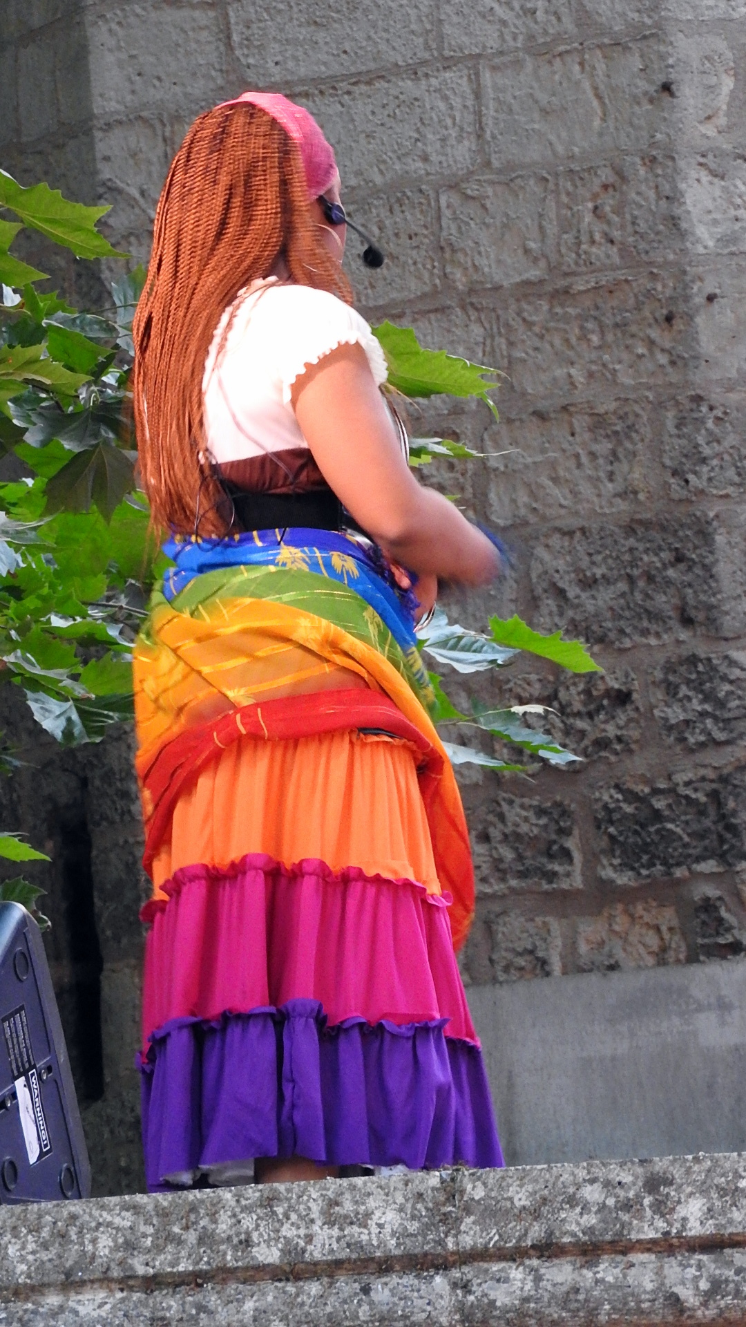 Notre Dame de Paris (Septmonts 07072018) (13)