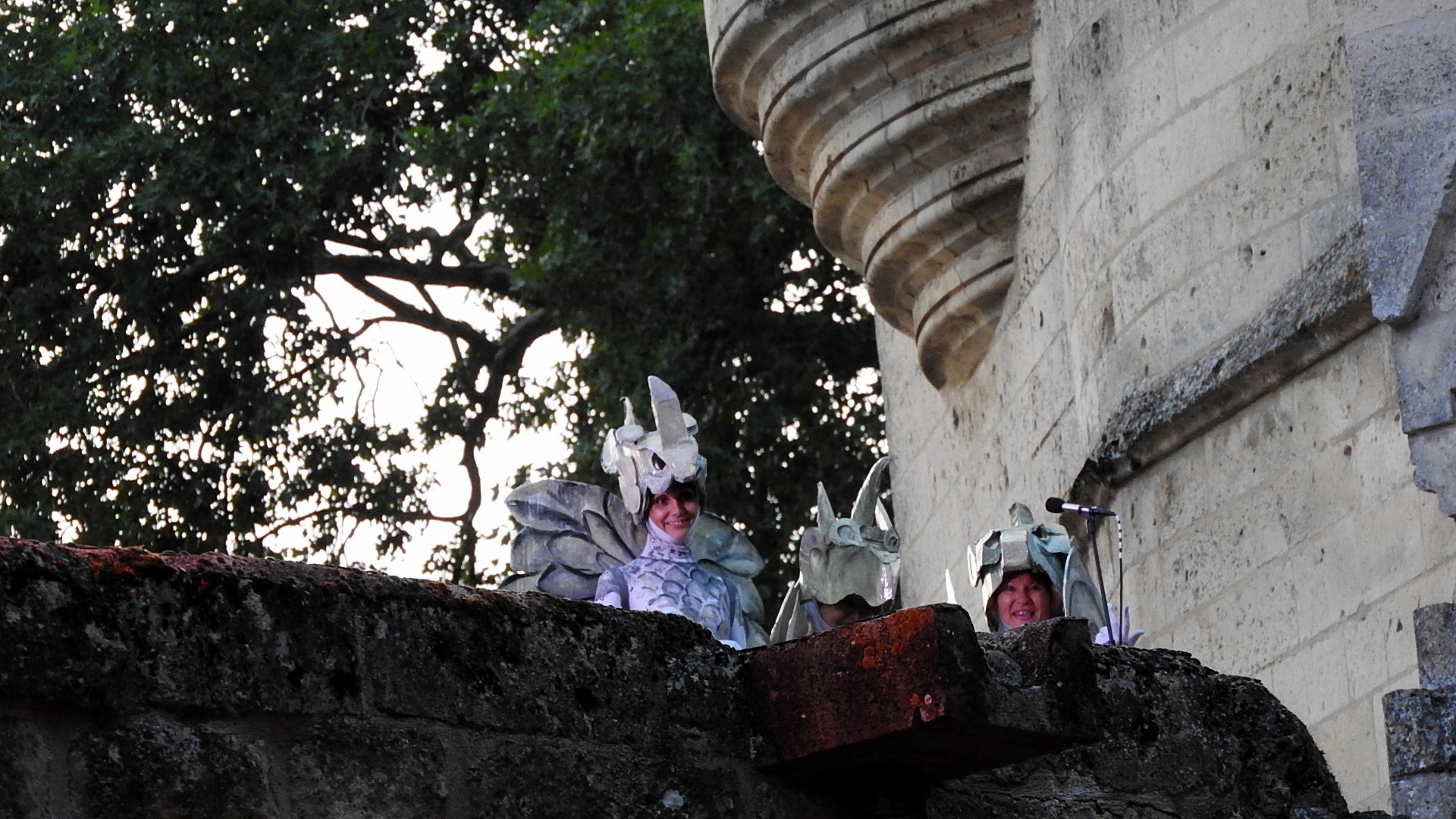 Notre Dame de Paris (Septmonts 07072018) (28)