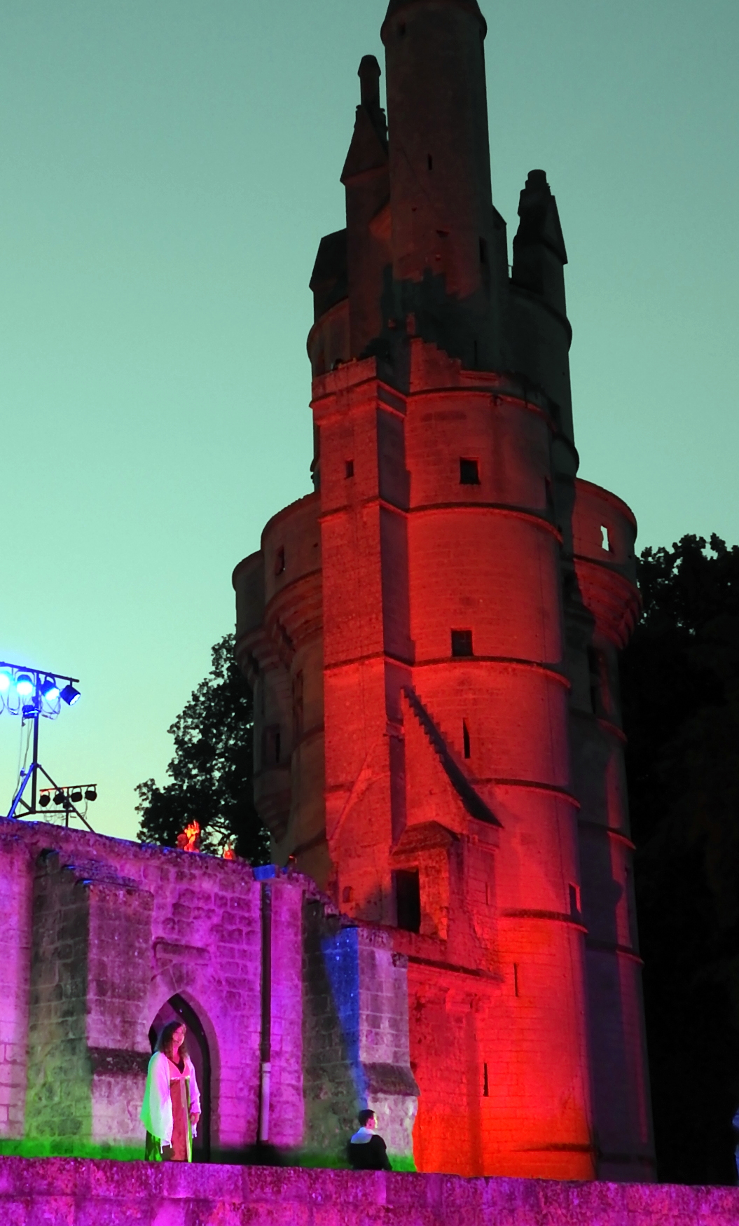 Notre Dame de Paris (Septmonts 07072018) (53)