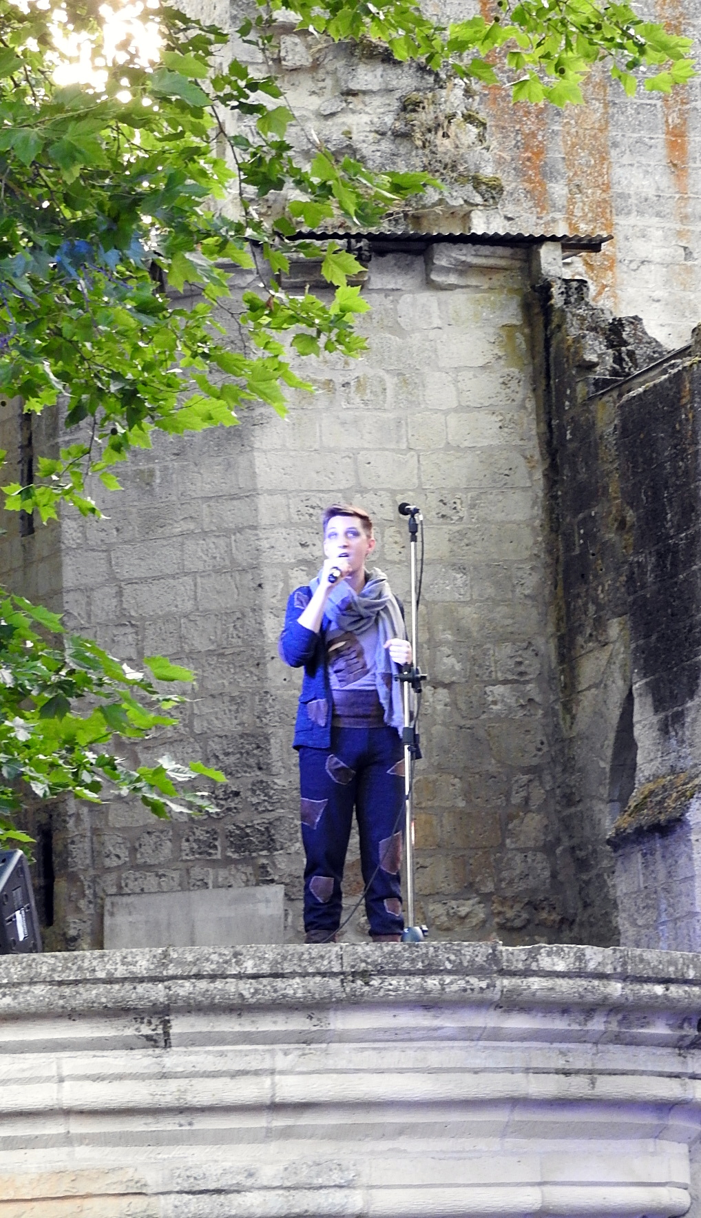 Notre Dame de Paris (Septmonts 07072018) (8)