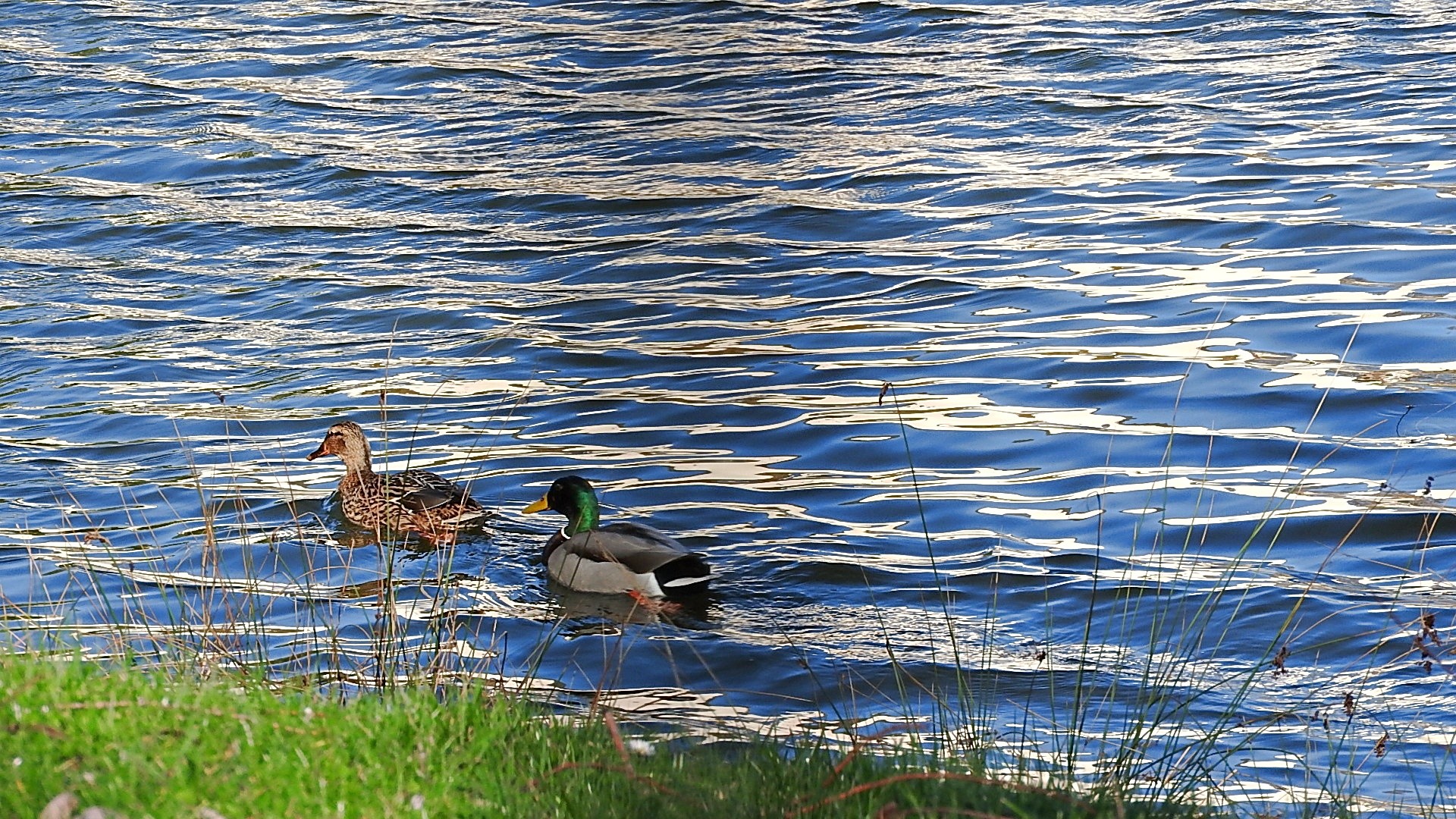 Parc a l oiseau 2021 11 