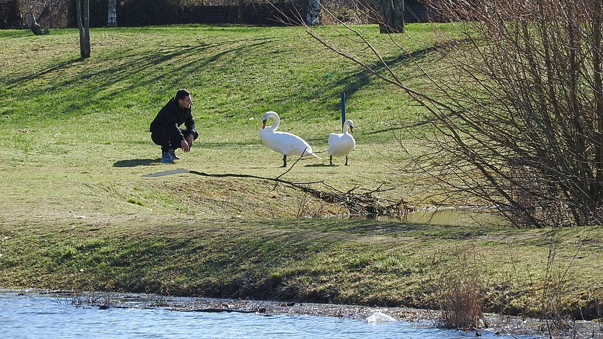 Parc a l oiseau 2021 13 