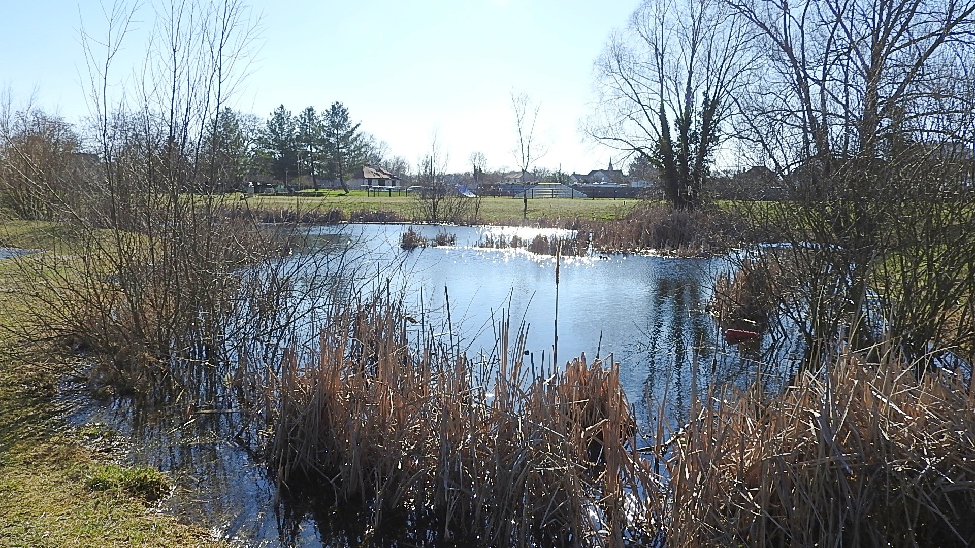Parc a l oiseau 2021 14 