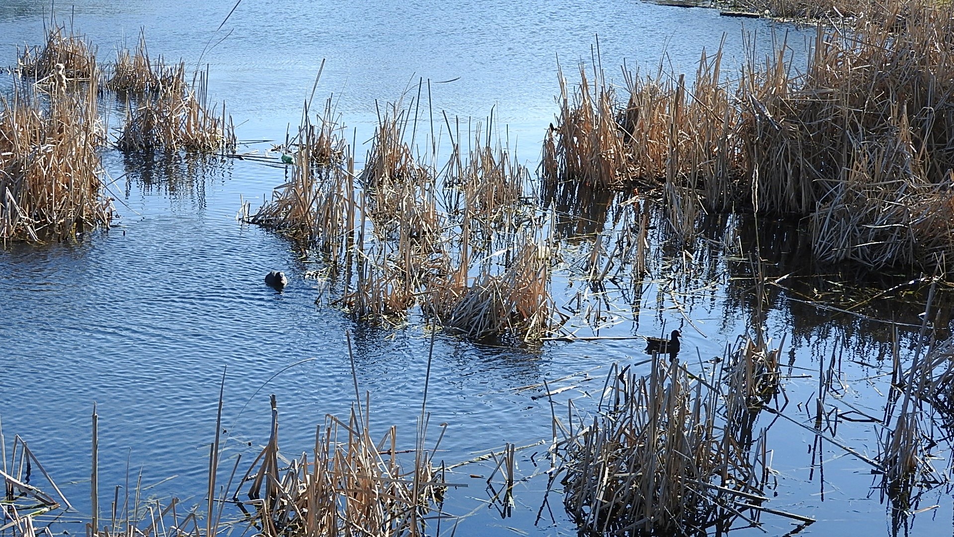 Parc a l oiseau 2021 15 